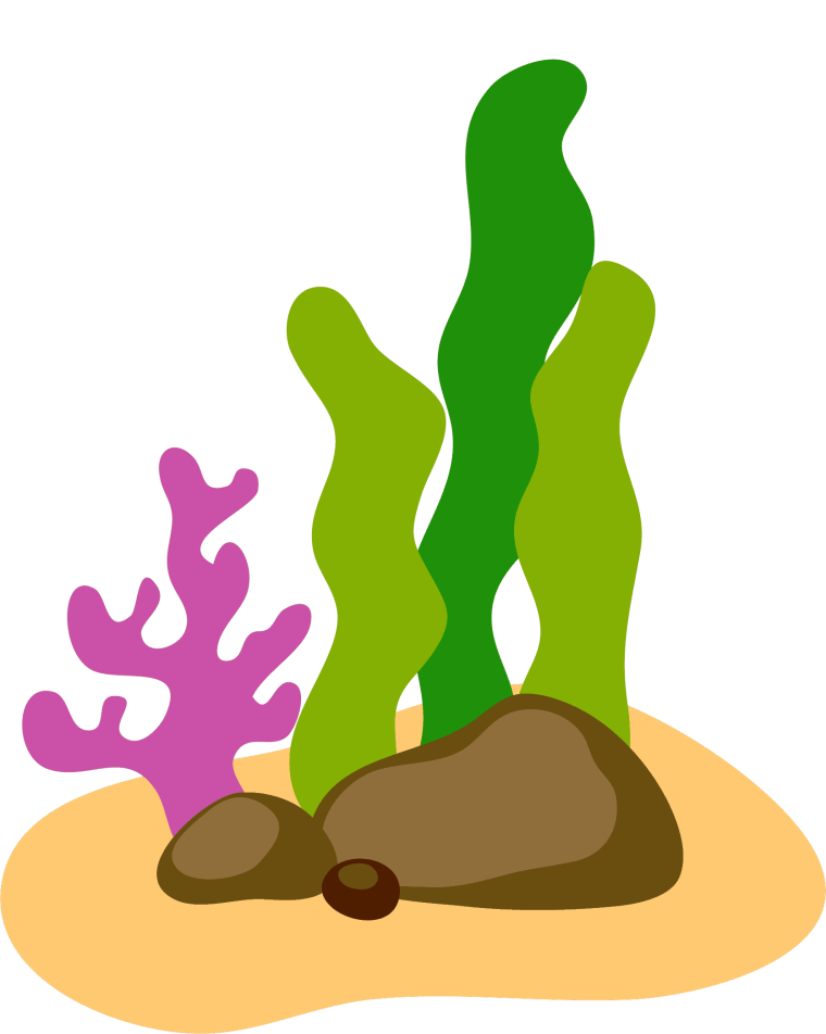 Corallina водоросль