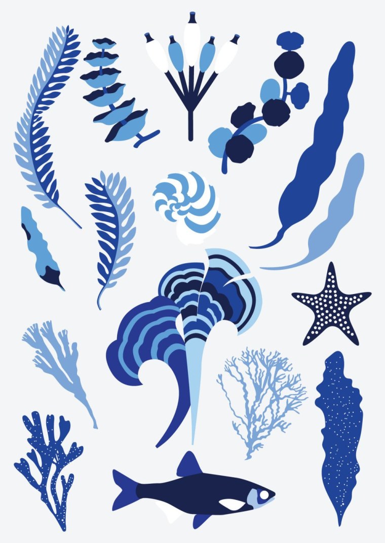 Водоросли для плоттера