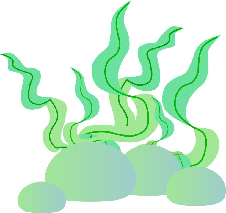 Водоросли кораллы вектор