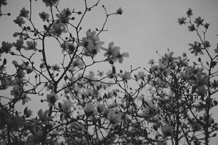 Эстетика в черных тонах