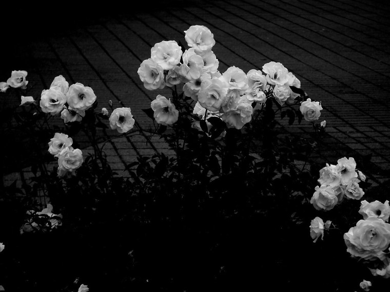 Черно белая Эстетика