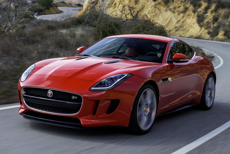 Берберийский леопард