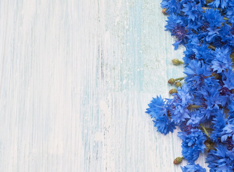 Cornflower Blue цвет