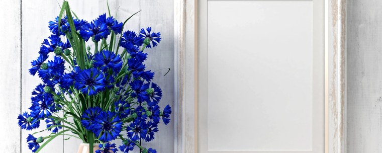 Фотофон васильки