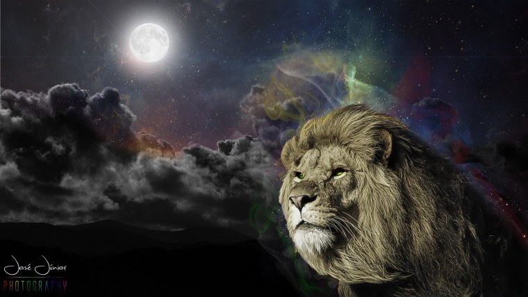 Картинки на рабочий стол Лев