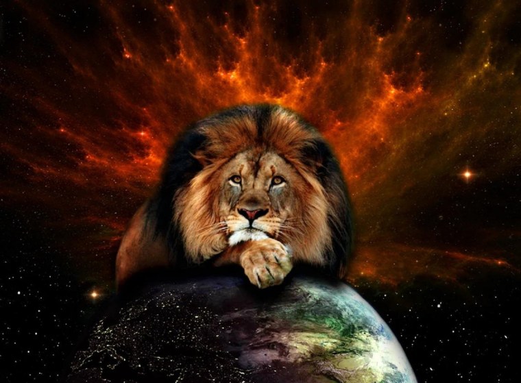 Блэк Лион львы