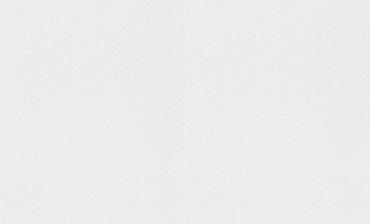 Светло-серый фон однотонный