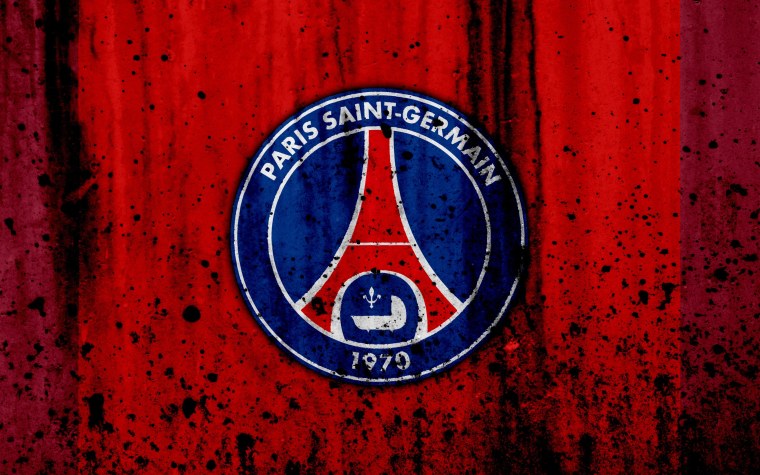 Nike Air Jordan PSG logo