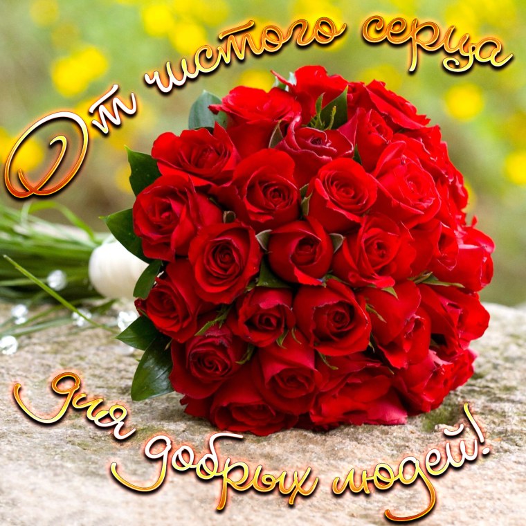 Большой букет роз