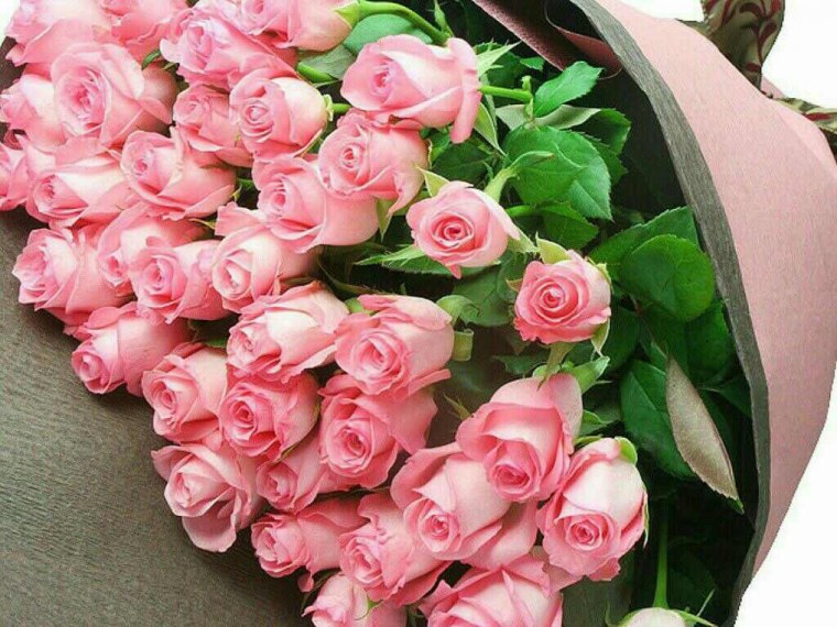 Букет красных роз для тебя