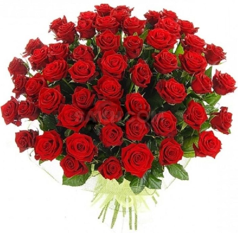 Букет роскошных роз