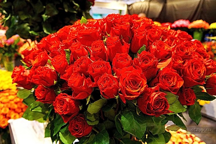 Огромный букет