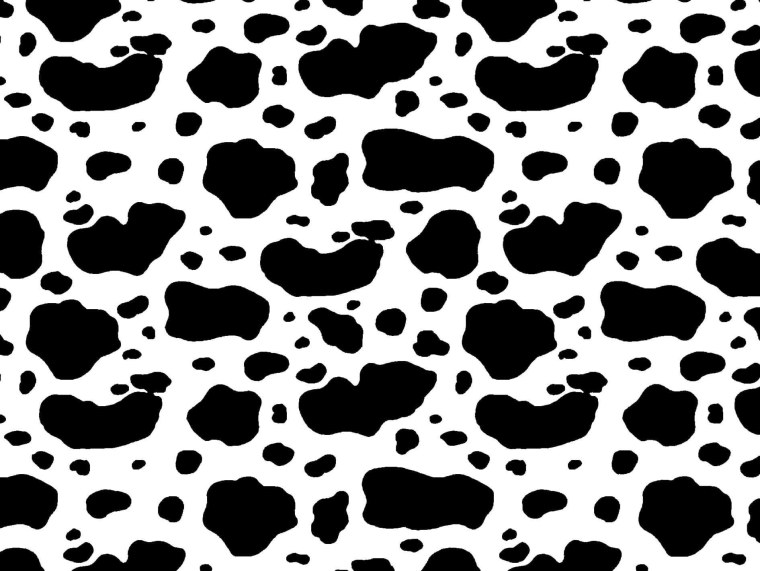 Коровий принт черно белый