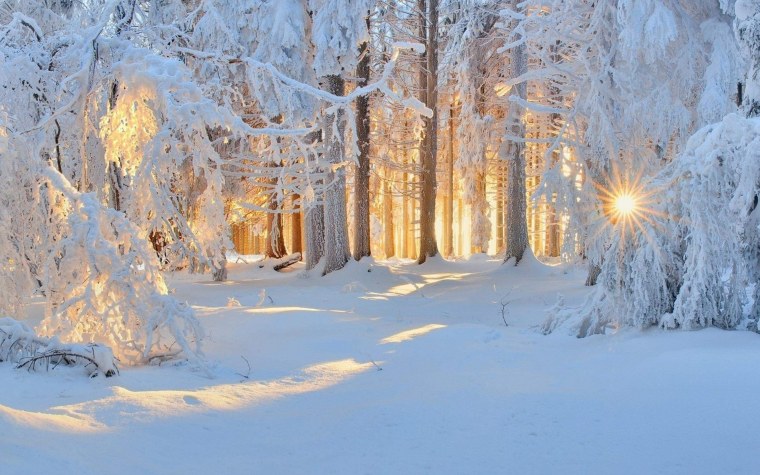 Фет Чародейкою зимою