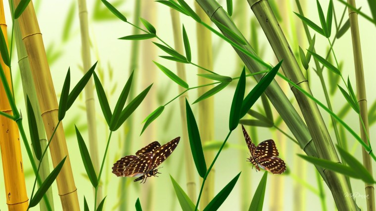 Бабочки на бамбуке