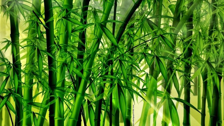 Бамбук Незуко