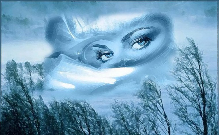 Новый год Метелица