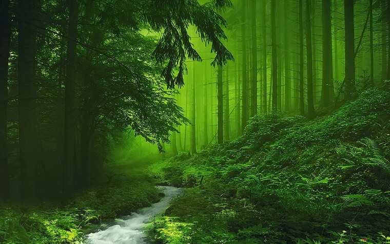 Зеленая природа