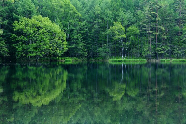 Хадыженское Лесное озеро