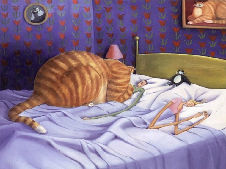 Сара Джейн Сзикора