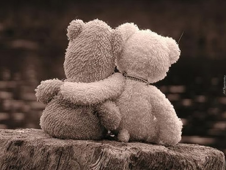 Мишки обнимаются