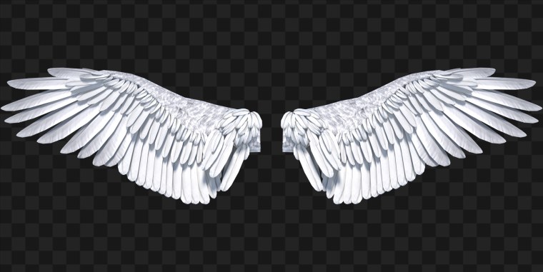 Энджел Вингс