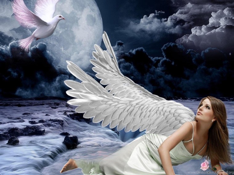 Под крылом ангела