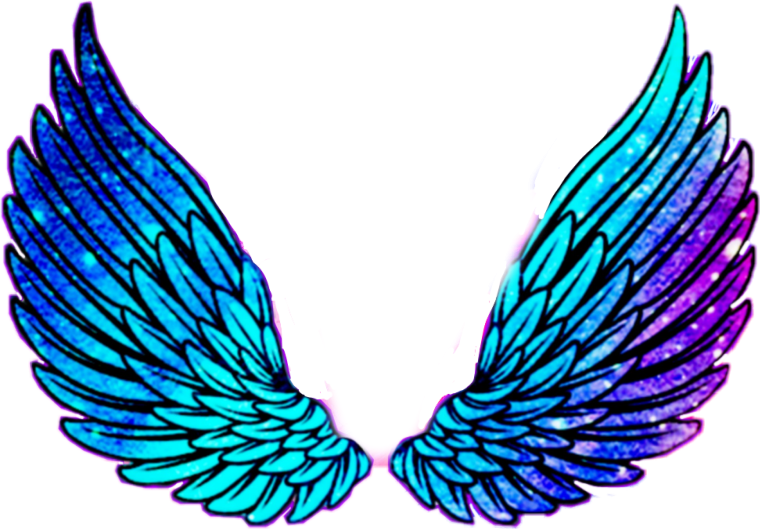 Крылышки без фона