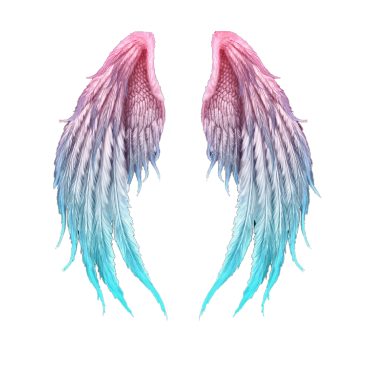 Тайваньская толстоклювая Лазоревая сорока