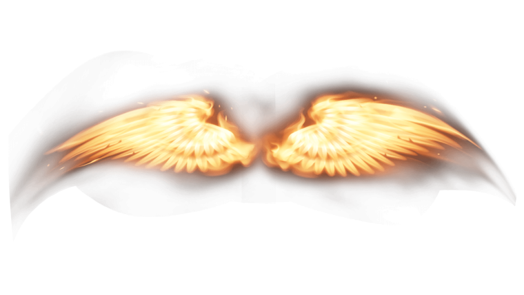 Крылья на прозрачном фоне