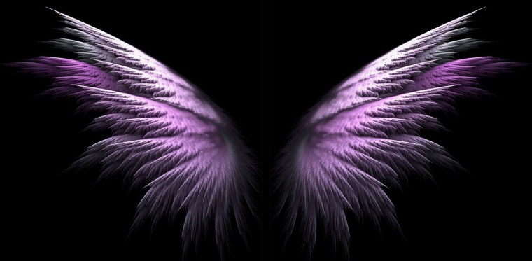Крылья на черном фоне