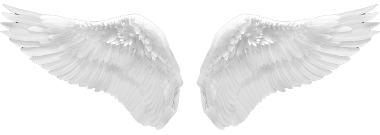 Этелефа крылатый Эльф