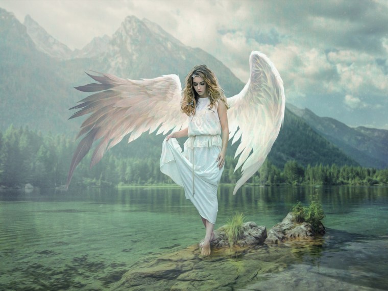 3d Max Крылья ангела бесплатно