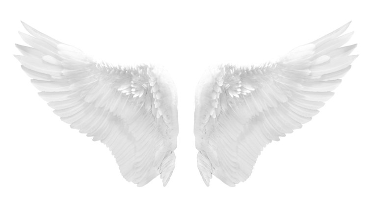 Ангельские Крылья на белом фоне