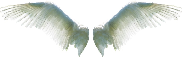 Тень Крылья для фотошопа