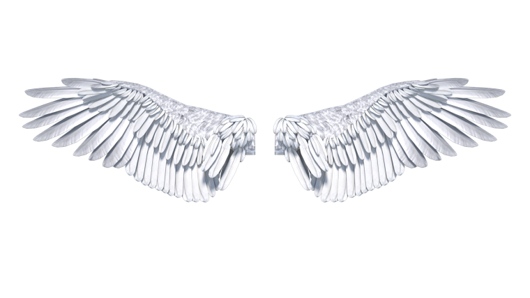 Крылья ангела