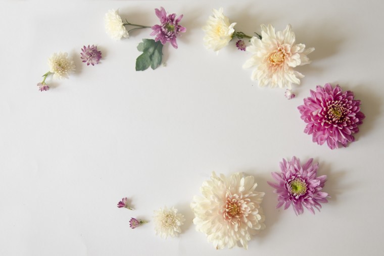 Фон для презентации хризантемы