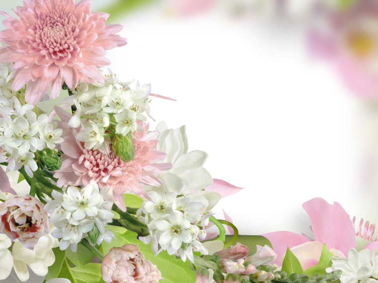 Фоторамка хризантемы