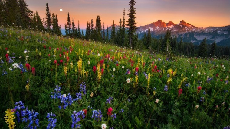 Красивые Луга