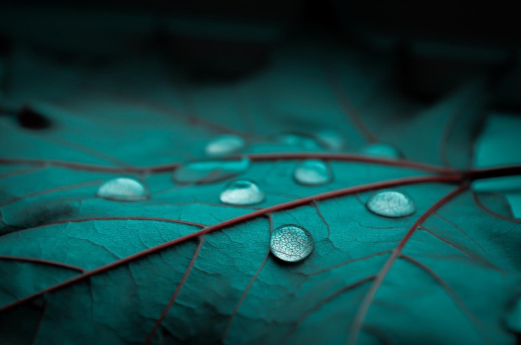 Морской заповедник Саут-Уотер-Кей,