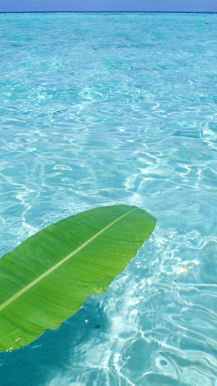 Красивые зеленые растения