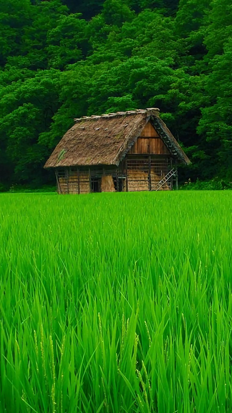 Изумрудный цвет в природе