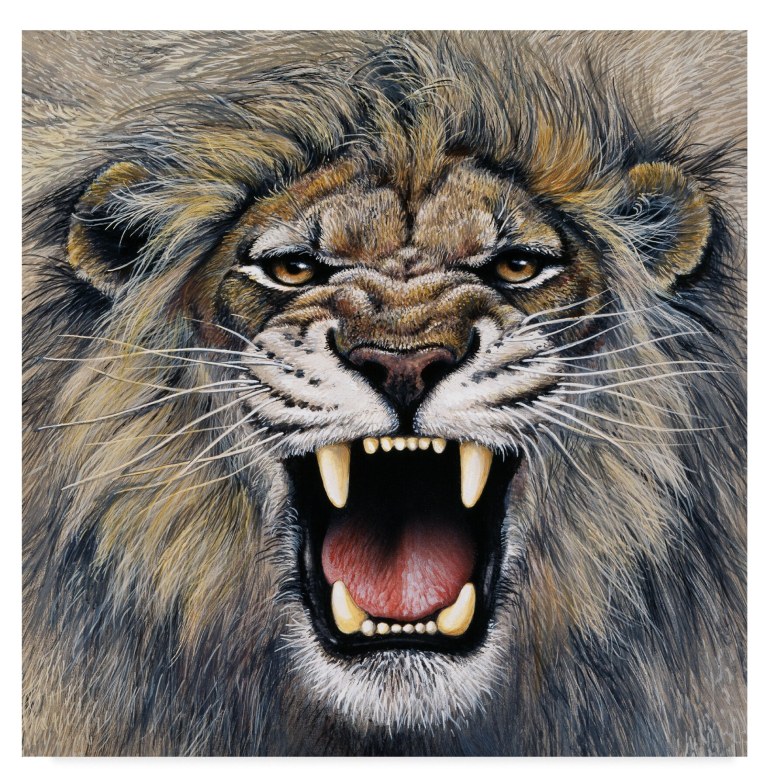 Лев рычит в профиль