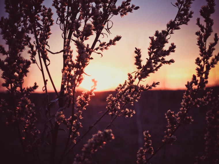 Энергетики Эстетика