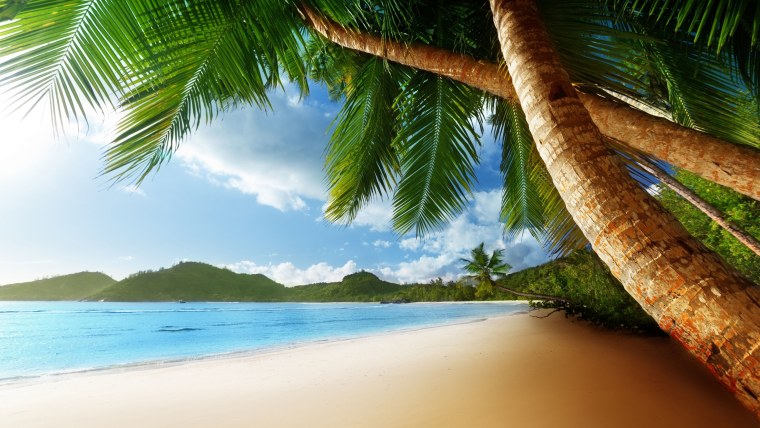 Тропический пляж