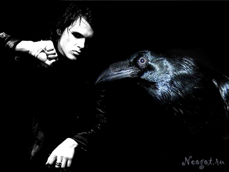 Парень с вороном