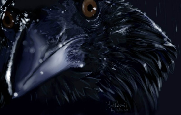 Вороны арты