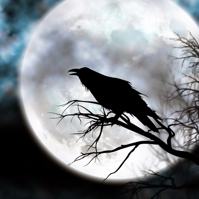 Ворон спрей