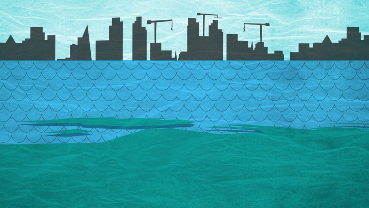 Dragon Ball Kame House