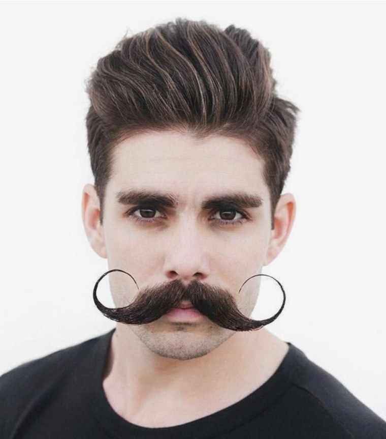 Гусарские усы с бородой